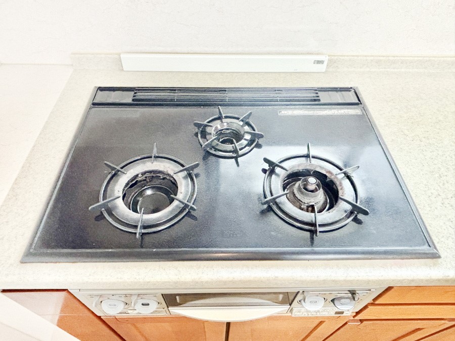 ���̑����� �O���K�X�R�����ł���������C�ɂ͂��ǂ肻���B  