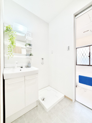 ���ʑ�E���ʏ� ����������z���C�g�J���[����Ƃ������ʎ�