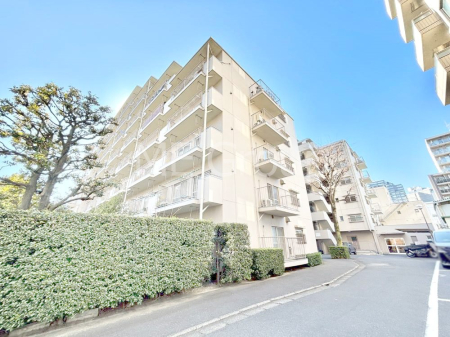 ���n�O�ώʐ^ ��������n�܂�V�����������������܂��I