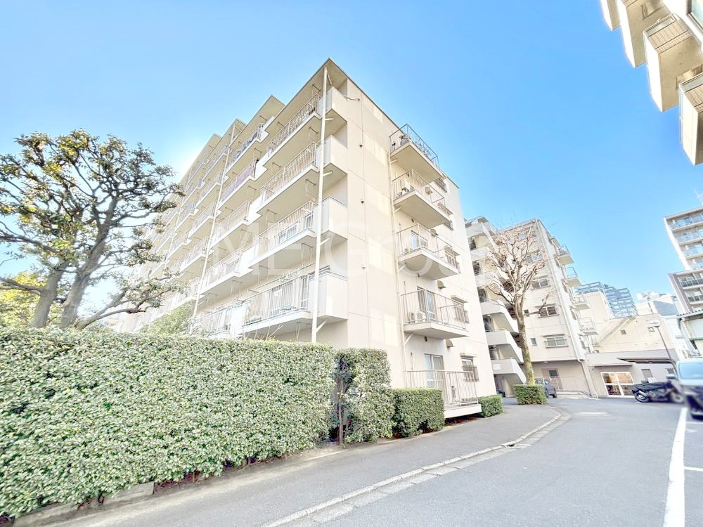 ���n�O�ώʐ^ ��������n�܂�V�����������������܂��I