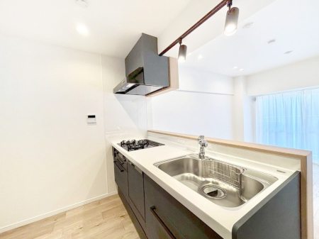 �L�b�`�� �������̂������ŉƑ��̏Ί炪�L����܂�  