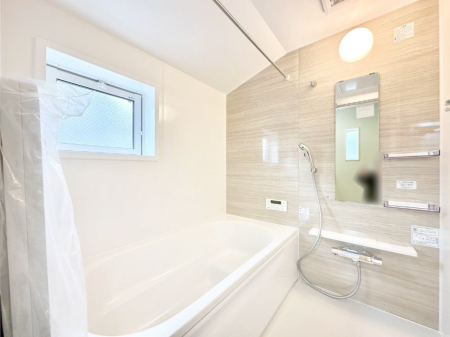 ���� �����������F�����̕ǖʁA������������芰����o�X���[���B