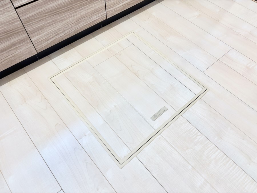 ���̑����� �������[�t���I���p�i�E���p�i�̎��[�ɂ��劈��B