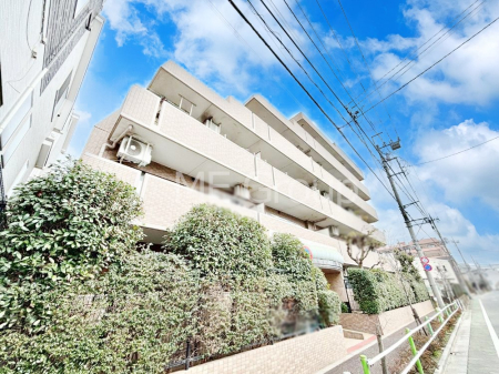 ���n�O�ώʐ^ ��������n�܂�V�����������������܂�