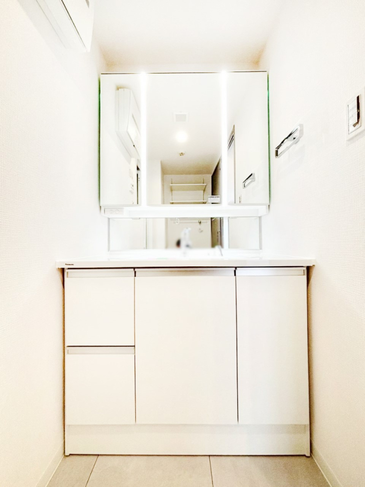 ���ʑ�E���ʏ� �X�^�C�����O�ɕ֗��ȎO�ʋ��A�~���[�L���r�l�b�g�ōׂ������X�b�L��