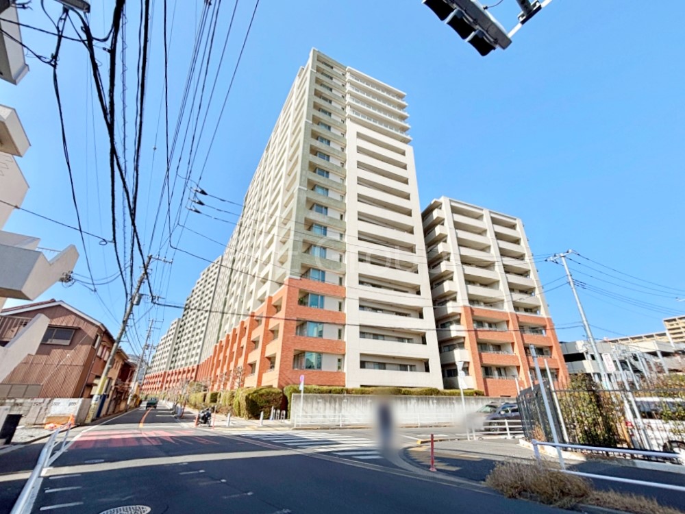 ���n�O�ώʐ^ ��Ƃ肪�Ί�𐶂ސS�n�悢���� 