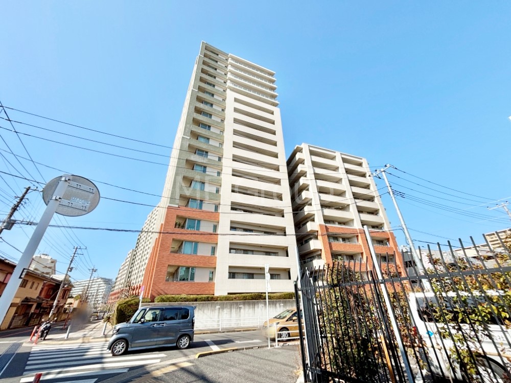 ���n�O�ώʐ^ ����z���ł��Ƒ��̏Ί���P�� 