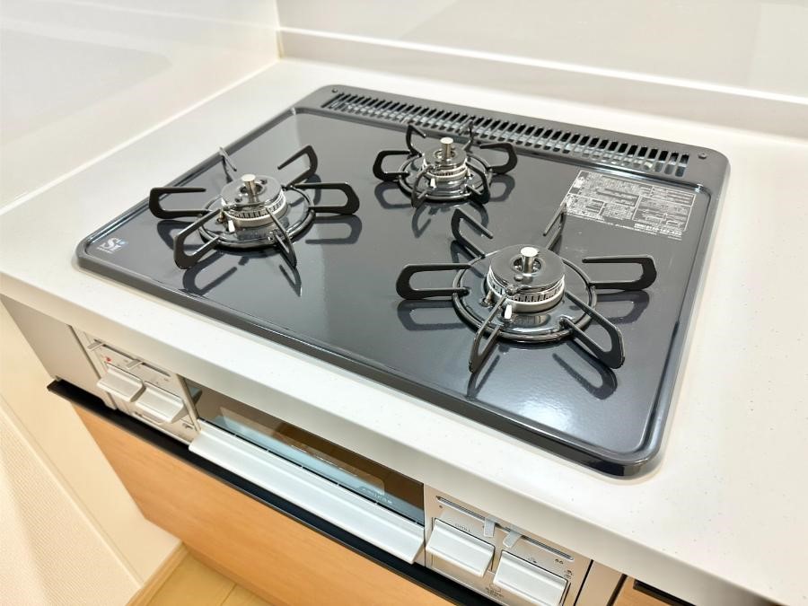 ���̑����� �K�X�R�����͂r���Z���T�[���ځB�Η͒��߂�ł��t���E�����Y����h���ł���܂��B