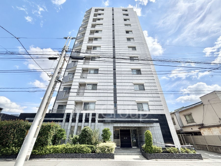 ���n�O�ώʐ^ ����z���ł��Ƒ��̏Ί���P�� 