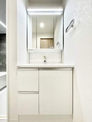 ���ʑ�E���ʏ� �傫�����₷���O�ʋ��Ő�����������ʑ�́A�g�����Ȃ݃`�F�b�N�┧�̂������ɂ������߂ł��B