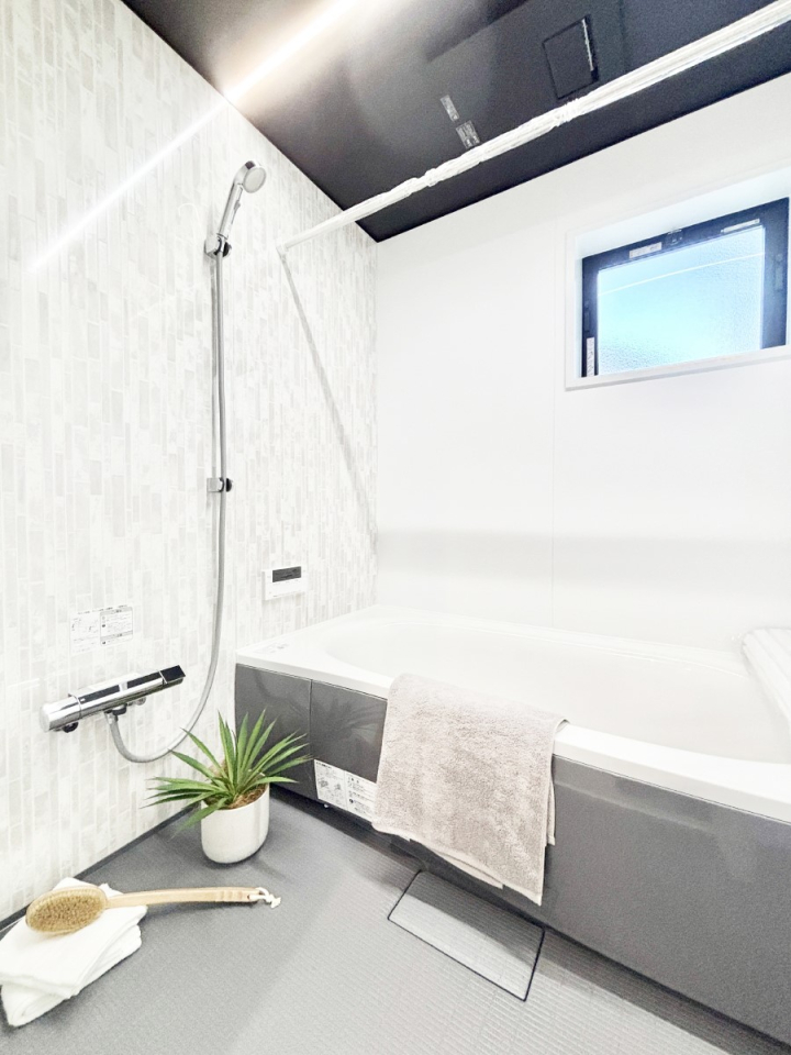 ���� ����̔�������Ă���閾�邢�������̂���o�X���[��