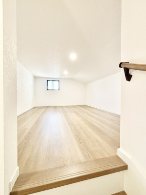 ���̑� �����t���̖��邢���������[