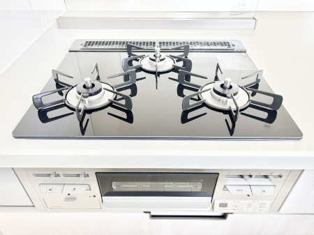 ���̑����� �O���K�X�R�����ł���������C�ɂ͂��ǂ肻���B  