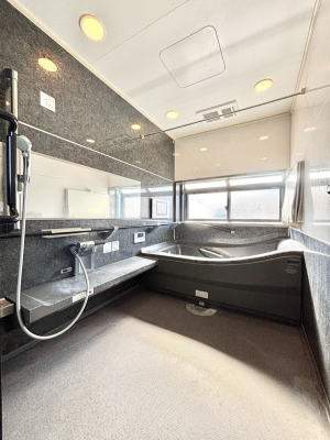 ���� ����̔�����₷��؂ȃo�X�^�C���B�������Ƃ����C���y����Ŕ����Ƃ肽���ł��ˁI  