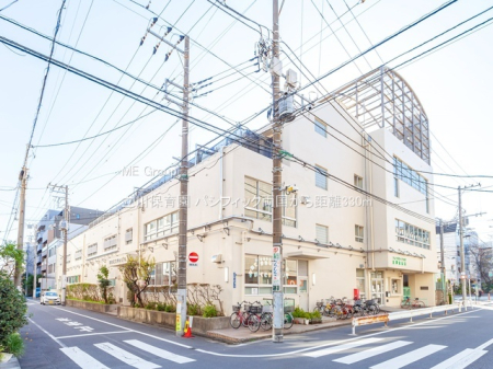 ���ӊ� �c�t���E�ۈ牀 330m ����ۈ牀