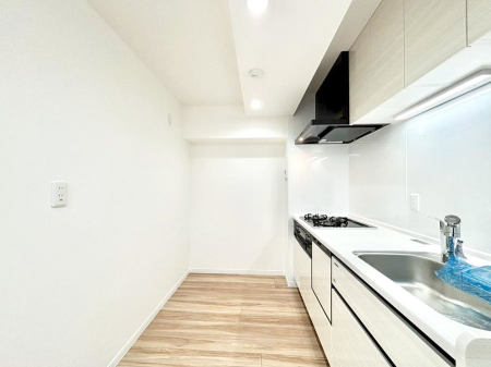 �L�b�`�� ��Ƃ肠��L�b�`���X�y�[�X�ł�������H��̌�Еt�����X���[�Y�ɁI