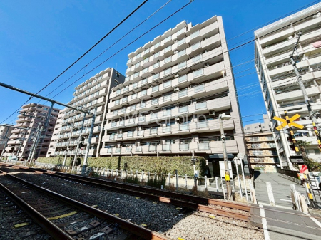 ���n�O�ώʐ^ ��Ƃ肪�Ί�𐶂ސS�n�悢���� �@