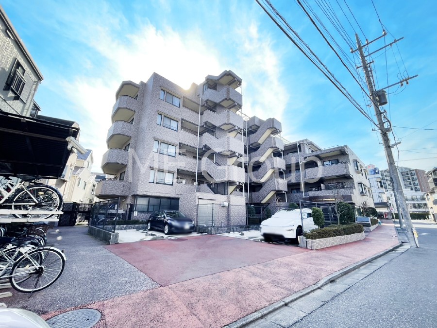 ���n�O�ώʐ^ ��������n�܂�V�����������������܂�