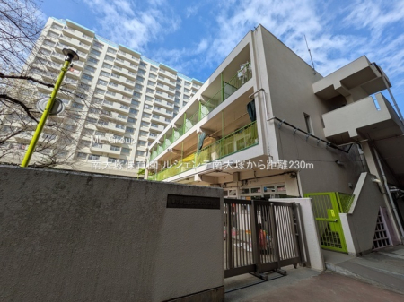 ���ӊ� �c�t���E�ۈ牀 230m ���˕ۈ牀