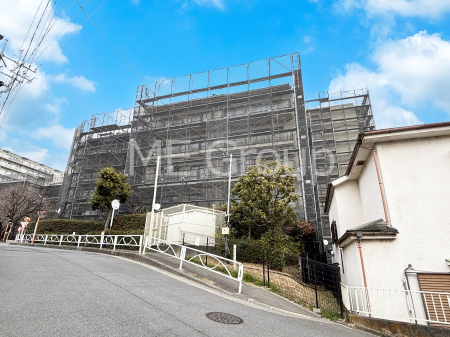 ���n�O�ώʐ^ ����z���ł��Ƒ��̏Ί���P��