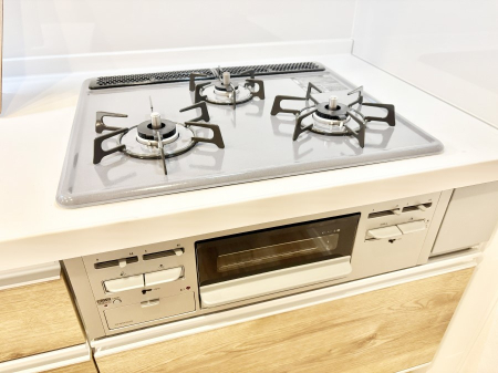 ���̑����� �O���K�X�R�����ł���������C�ɂ͂��ǂ肻��  