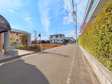 ���n�y�n�ʐ^ -