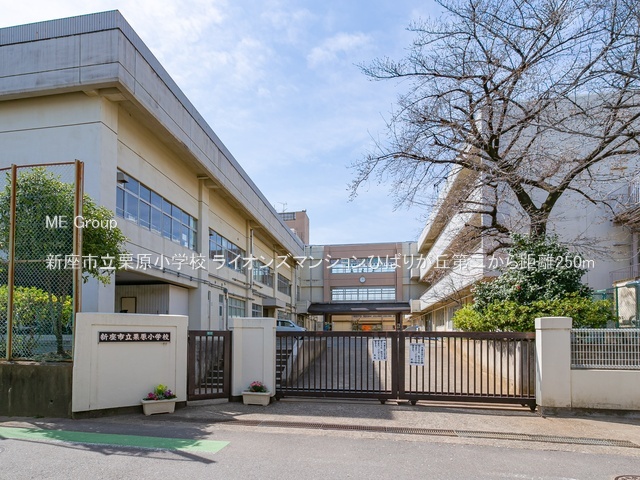 ���ӊ� ���w�Z 250m �V���s���I�����w�Z