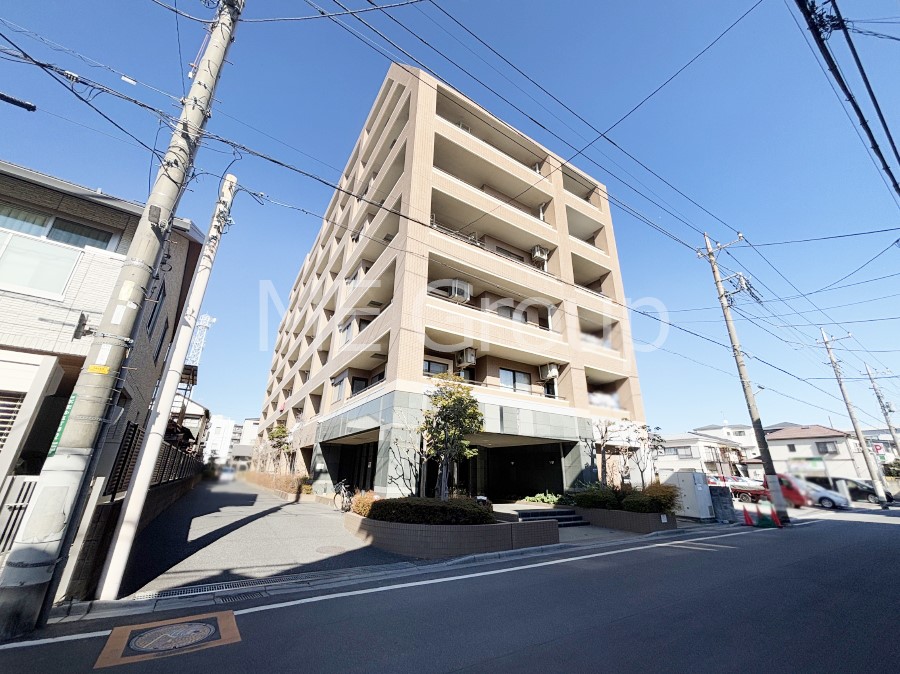 ���n�O�ώʐ^ ��������n�܂�V�����������������܂�