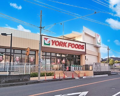 ���ӊ� �X�[�p�[ 1300m ���[�N�t�[�Y �V���n��X