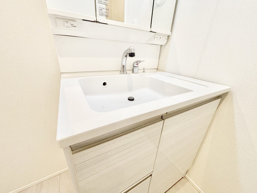 ���̑����� ���ʑ�