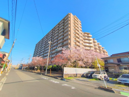 ���n�O�ώʐ^ -