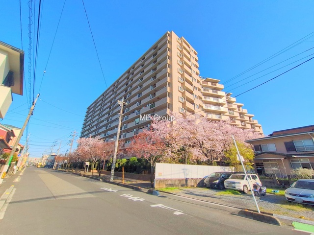 ���n�O�ώʐ^ -